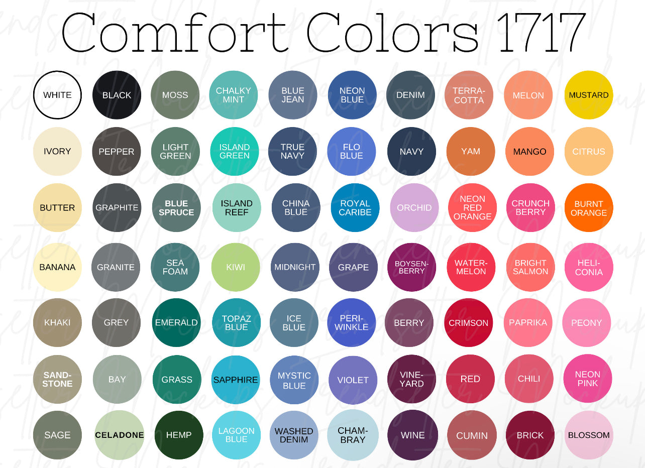 THE COAST comfort color tee